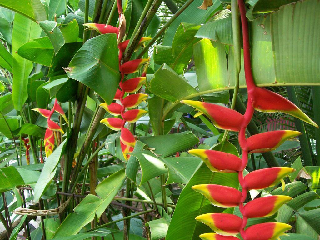 Posada El Jardin Ticul Buitenkant foto