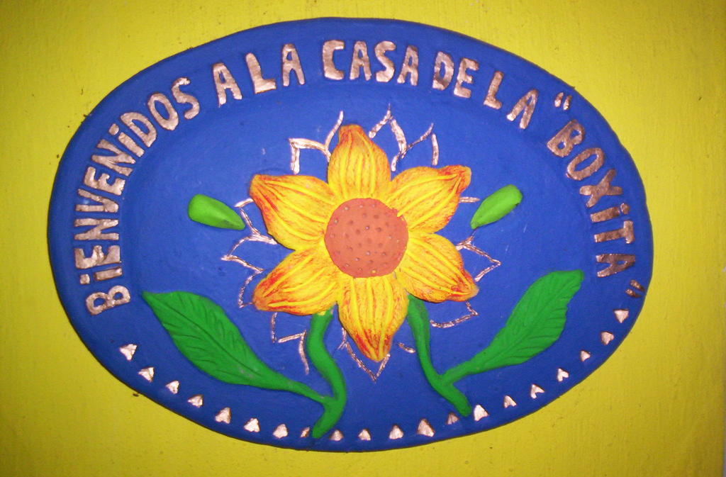 Posada El Jardin Ticul Kamer foto