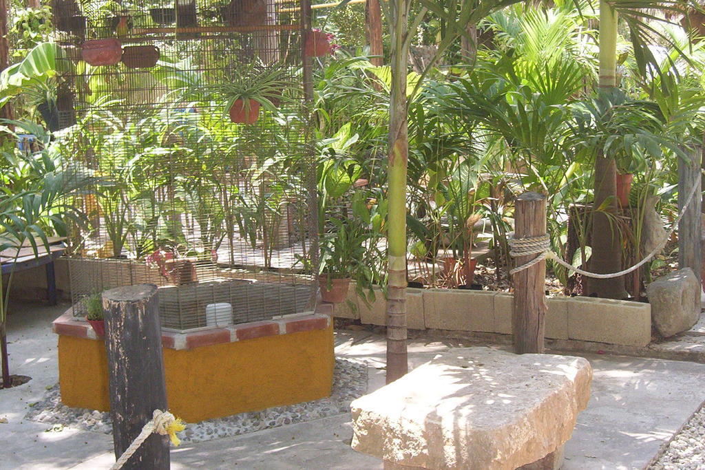 Posada El Jardin Ticul Buitenkant foto